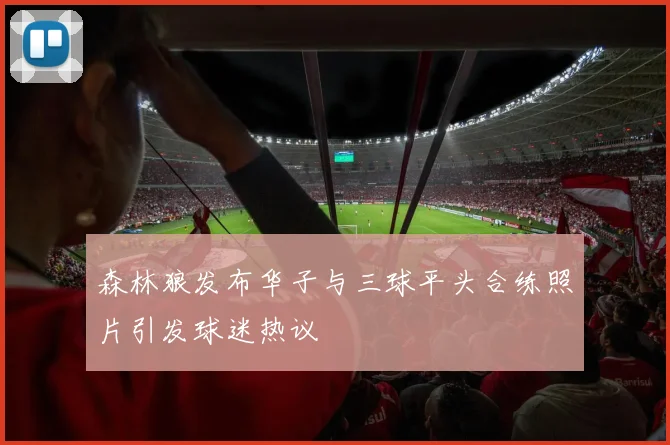 森林狼发布华子与三球平头合练照片引发球迷热议