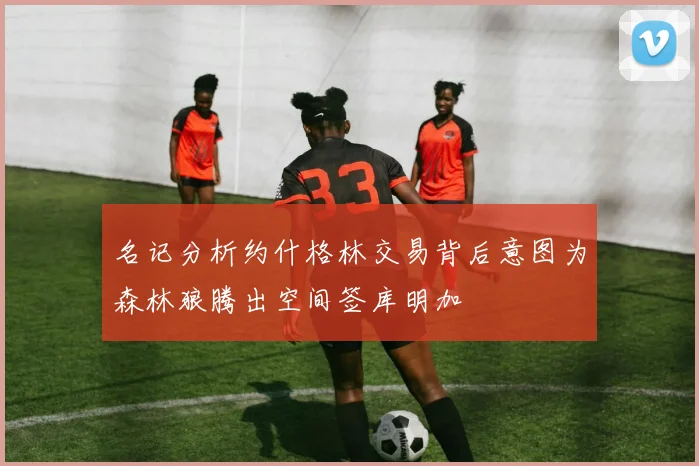 名记分析约什格林交易背后意图为森林狼腾出空间签库明加